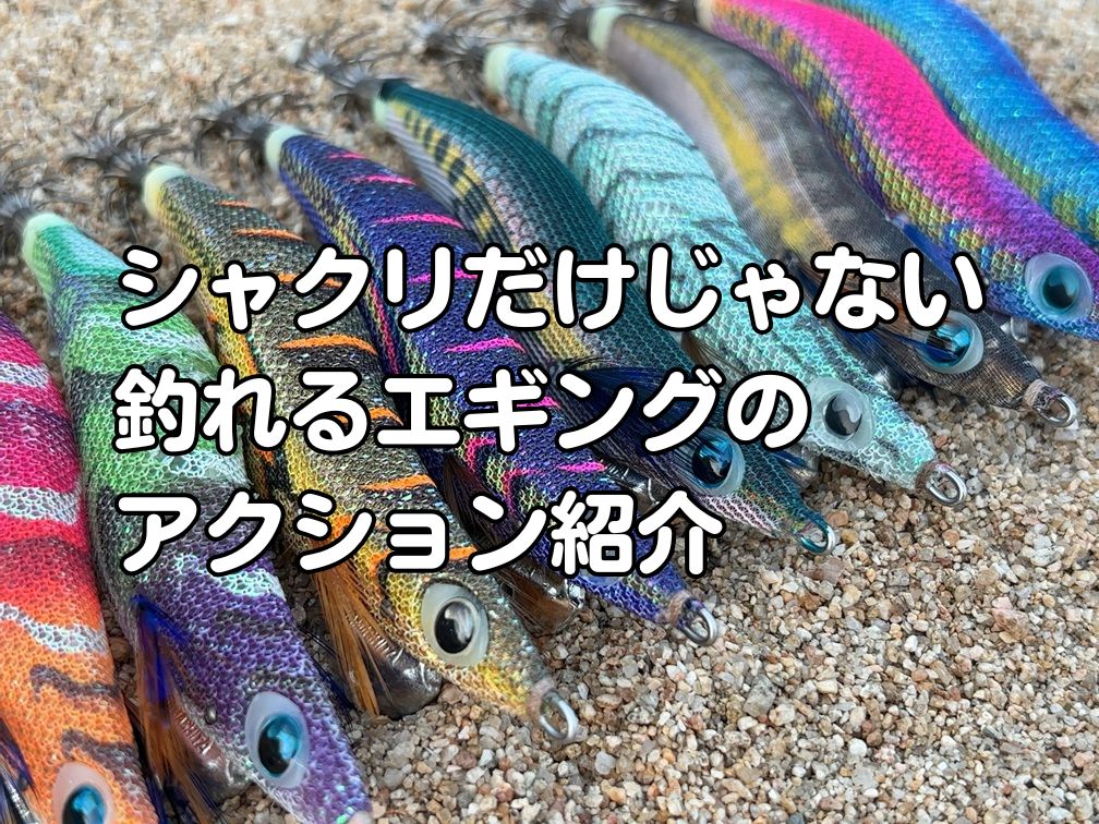エギングのアクション紹介記事のアイキャッチ画像