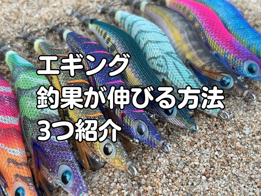 エギングで釣果が伸びる方法の記事のアイキャッチ画像